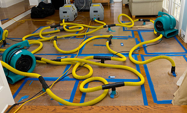 Professional Water Damage Repair technician working in Harwood, MD