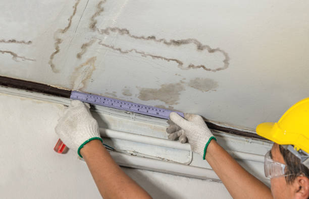 Affordable Water Damage Repair solutions in Harwood, MD